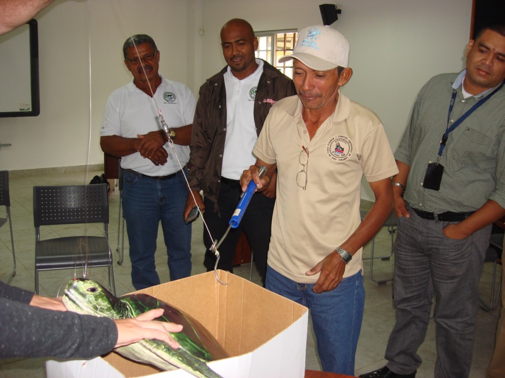 Training-in-extraction-of-hooks-from-sea-turtles-using-dehookers.-Santiago-de-Veraguas-Panamá