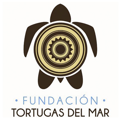 Fundación Tortugas del Mar